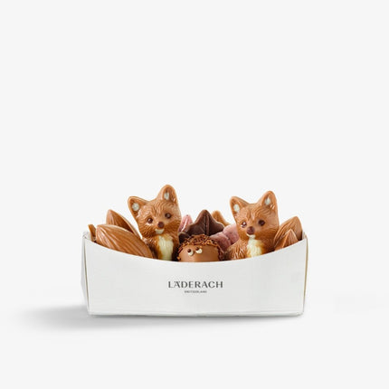 Chocolate Basket with FOX