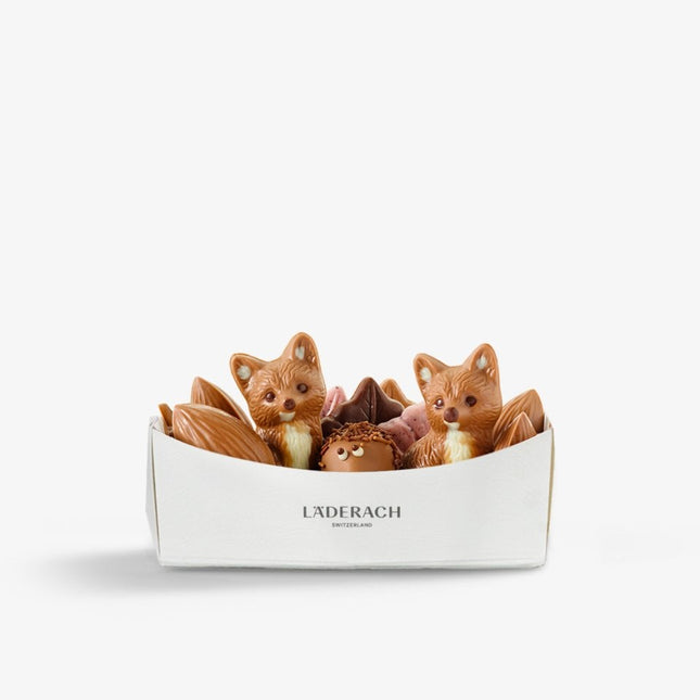 Chocolate Basket with FOX