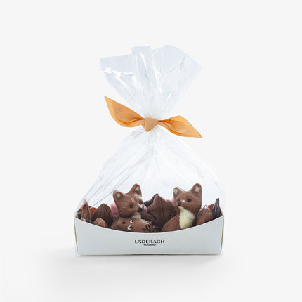 Chocolate Basket with Fix