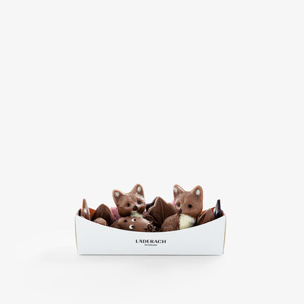 Chocolate Basket with Fix